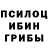 Псилоцибиновые грибы Psilocybine cubensis SHEHSASHA