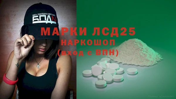 сатива Вязьма