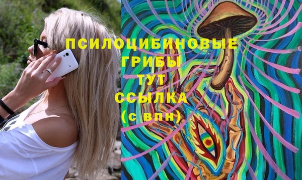 мдма Горняк