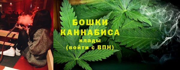 крисы Горно-Алтайск