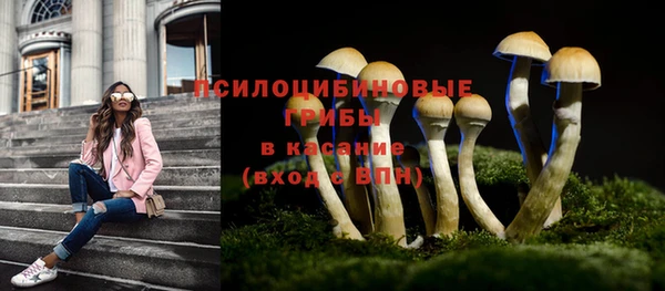 mdpv Горнозаводск