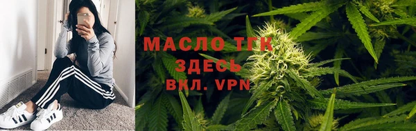 сатива Вязьма