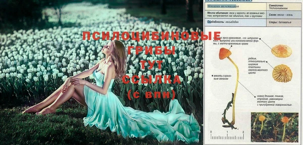кристаллы Вяземский