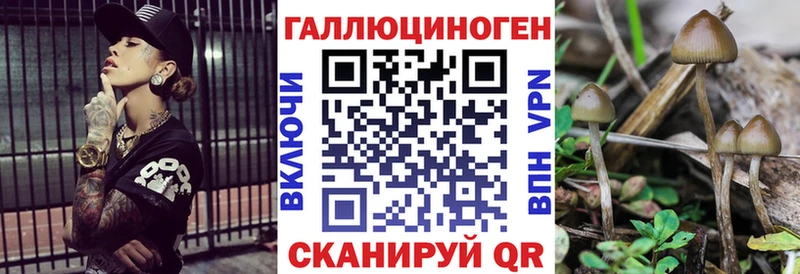 Купить где  Мглин  Галлюциногенные грибы мицелий 