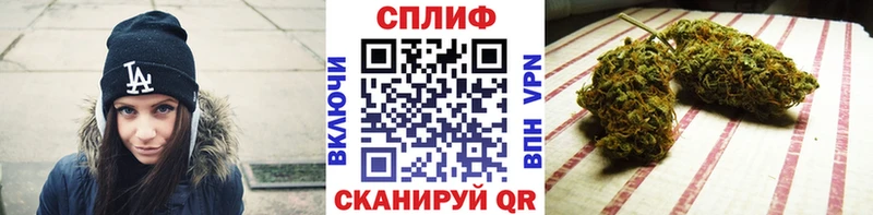 Купить закладки  Мглин  Бошки марихуана THC 21% 